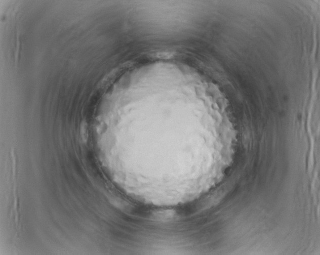 X0000060760374200512082014