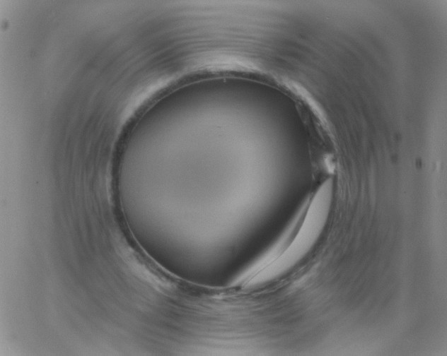 X0000060760391200512082013