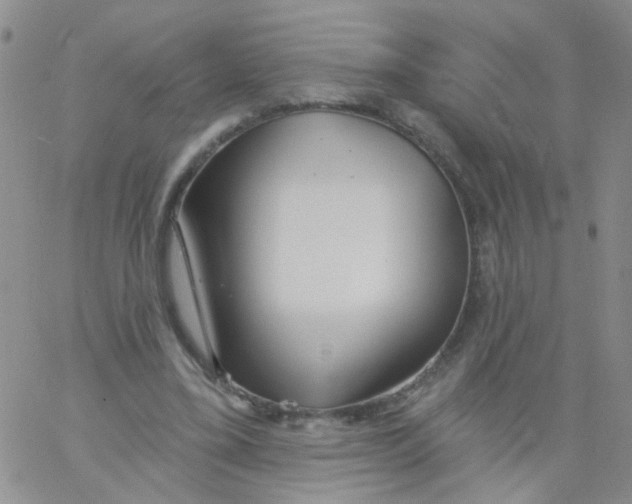 X0000060760395200512082013
