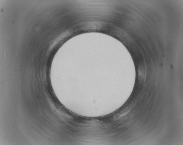 X0000060760396200512082013