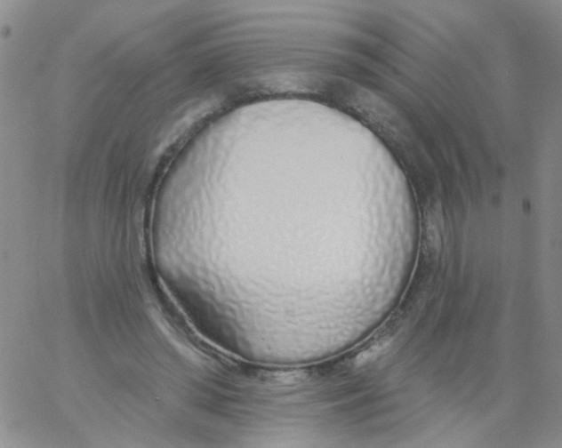X0000060760398200512082013