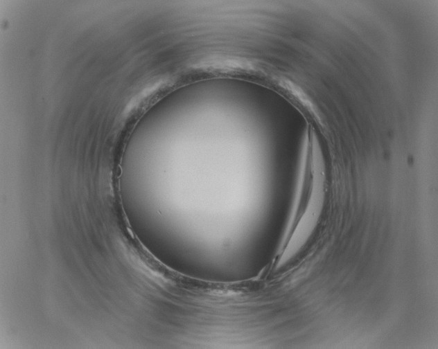 X0000060760399200512082013