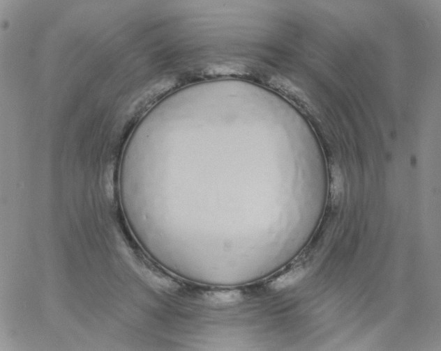X0000060760402200512082013