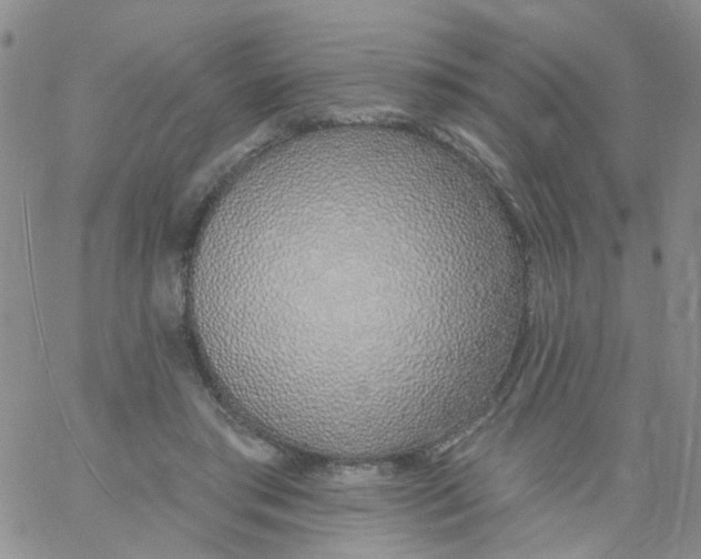 X0000060760405200512082013