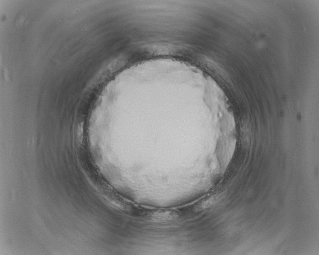 X0000060760406200512082013