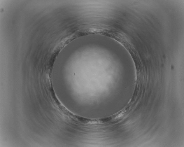 X0000060760415200512082013
