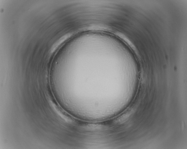 X0000060760437200512082012