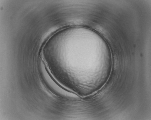 X0000060760439200512082012