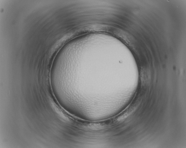 X0000060760445200512082012