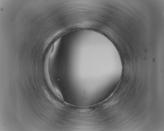 X0000060760446200512082012