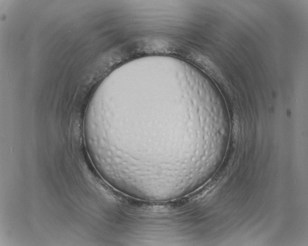 X0000060760449200512082012