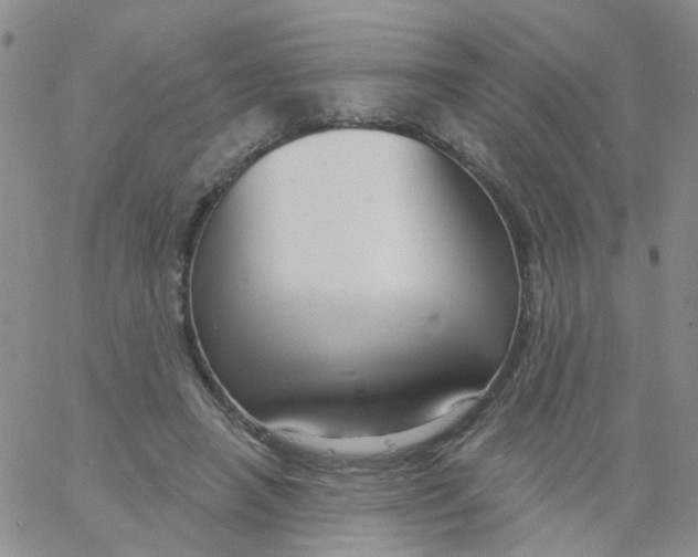 X0000060760450200512082012