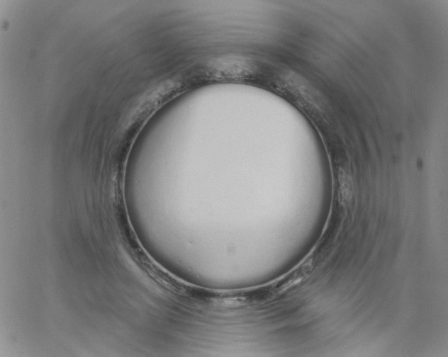 X0000060760451200512082012