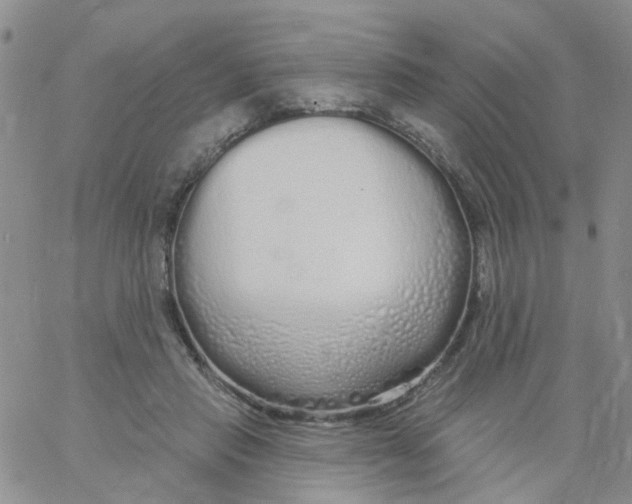 X0000060760453200512082012