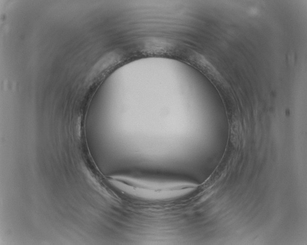 X0000060760454200512082012