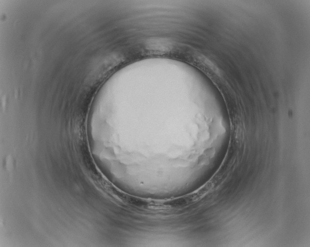X0000060760455200512082012