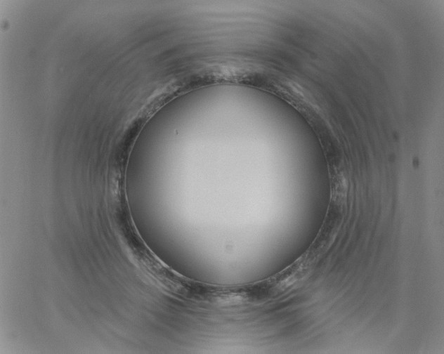 X0000060760456200512082012
