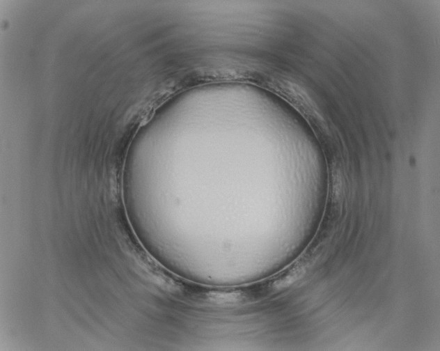 X0000060760457200512082012