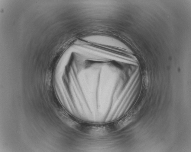 X0000060760458200512082012