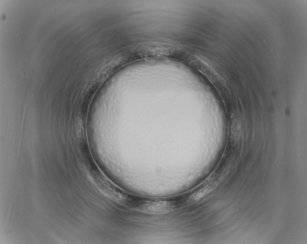 X0000060760459200512082012