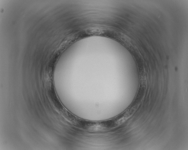 X0000060760460200512082012