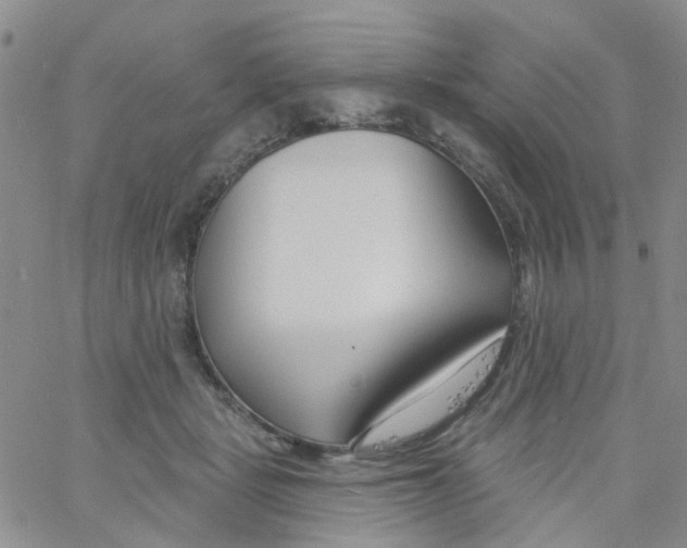 X0000060760461200512082012