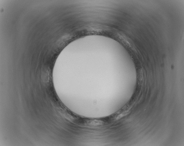 X0000060760463200512082013