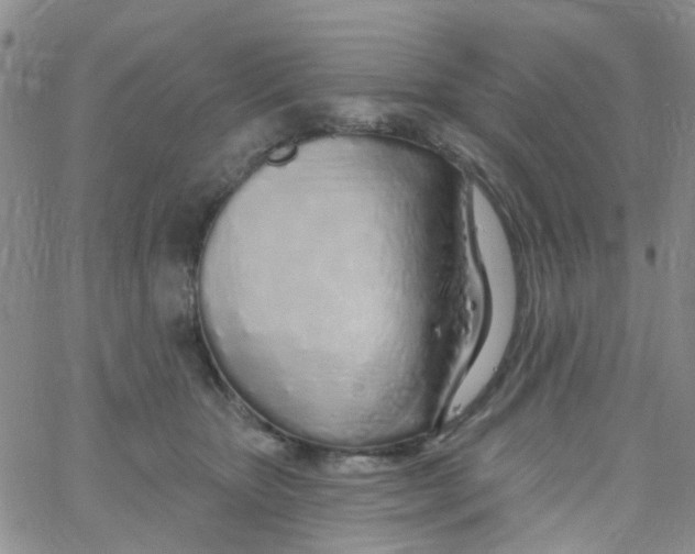X0000060760467200512082013