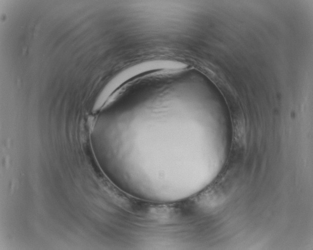 X0000060760470200512082013
