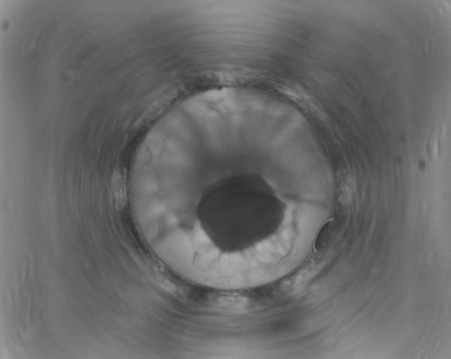 X0000060760471200512082013