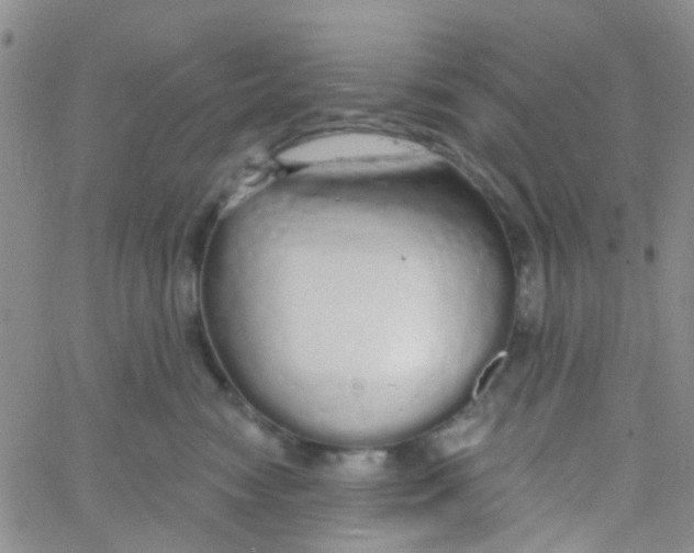 X0000060760474200512082013
