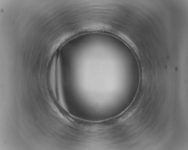 X0000060760485200512082012