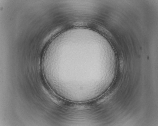 X0000060760490200512082012