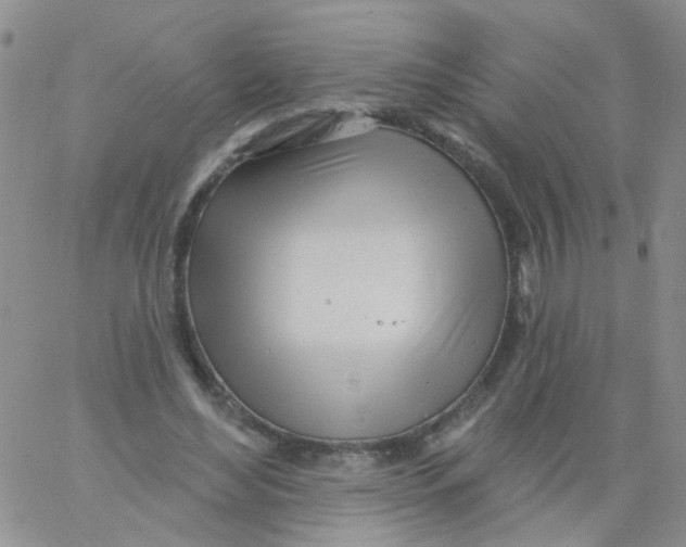 X0000060760492200512082012