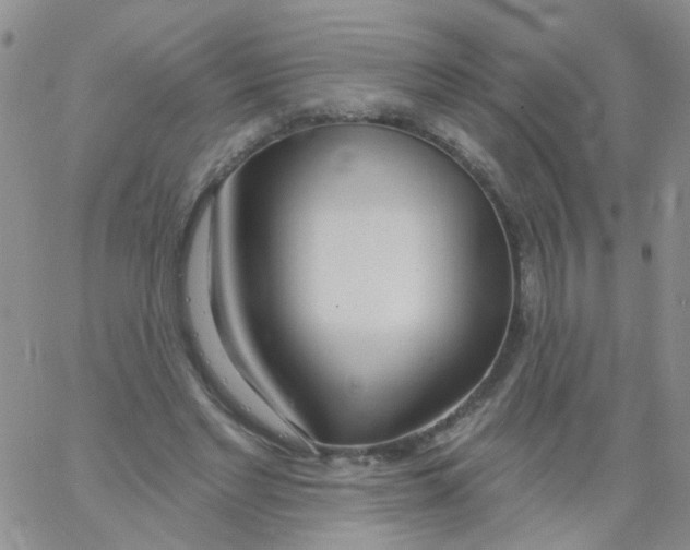 X0000060760493200512082012