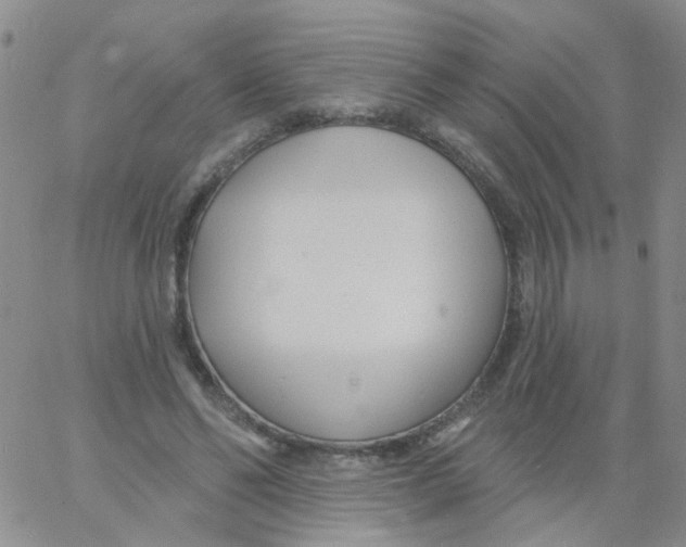 X0000060760494200512082012