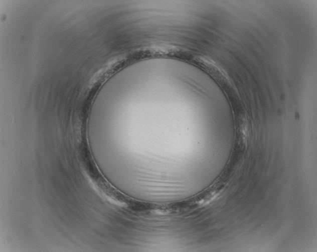 X0000060760496200512082012