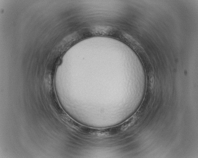 X0000060760498200512082012