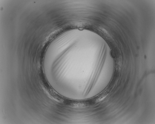 X0000060760500200512082012