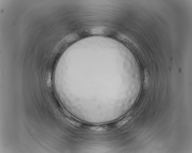 X0000060760502200512082012