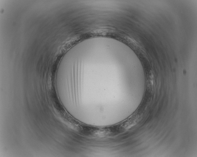 X0000060760504200512082012