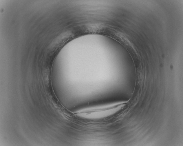 X0000060760505200512082012