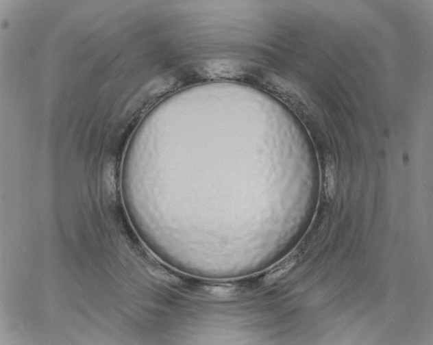 X0000060760506200512082012