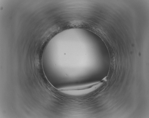X0000060760508200512082012