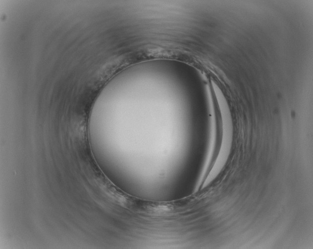 X0000060760513200512082011