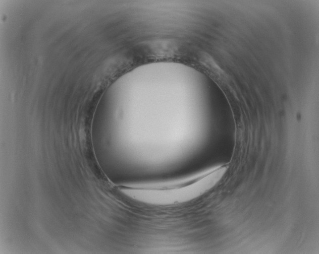 X0000060760516200512082011