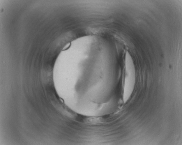 X0000060760526200512082011