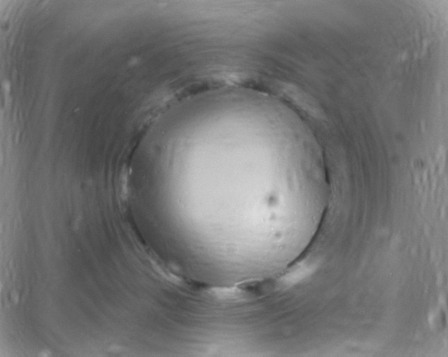X0000060760528200512082011