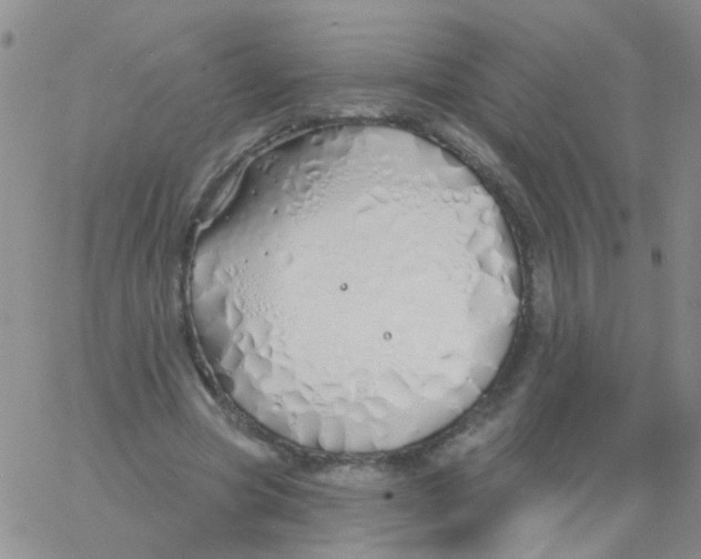 X0000060760537200512082010