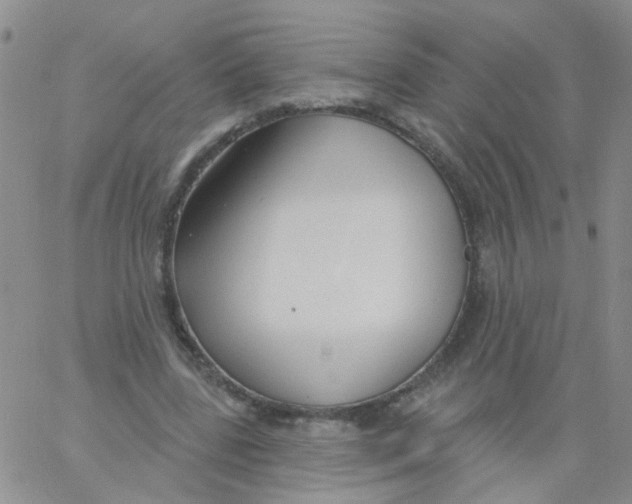 X0000060760539200512082011